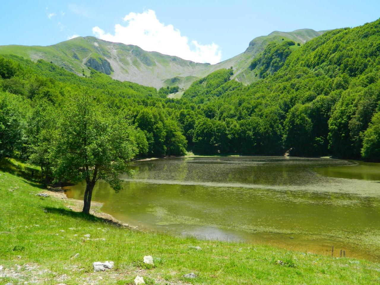 L'Antico Ritrovo Bed & Breakfast Moliterno Eksteriør bilde